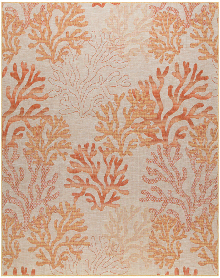8' x 10'