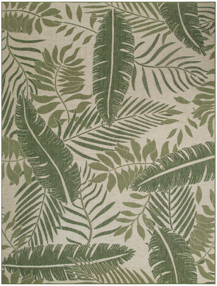8' x 10'