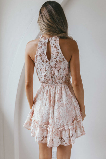 Ever After Halterneck Elasticated Waist Lace Mini Dress Apricot