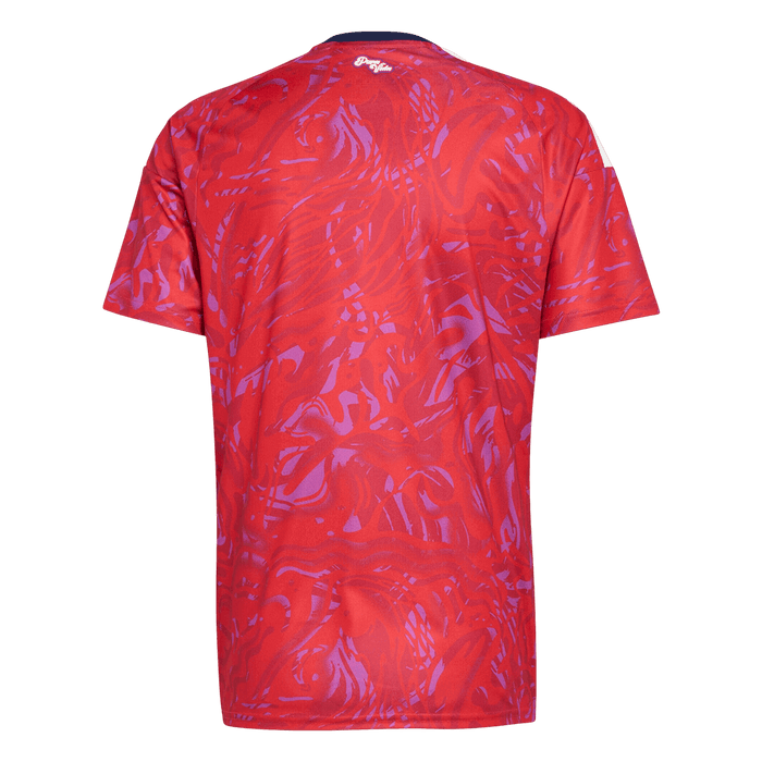 Costa Rica Home Soccer Jersey World Cup 2026