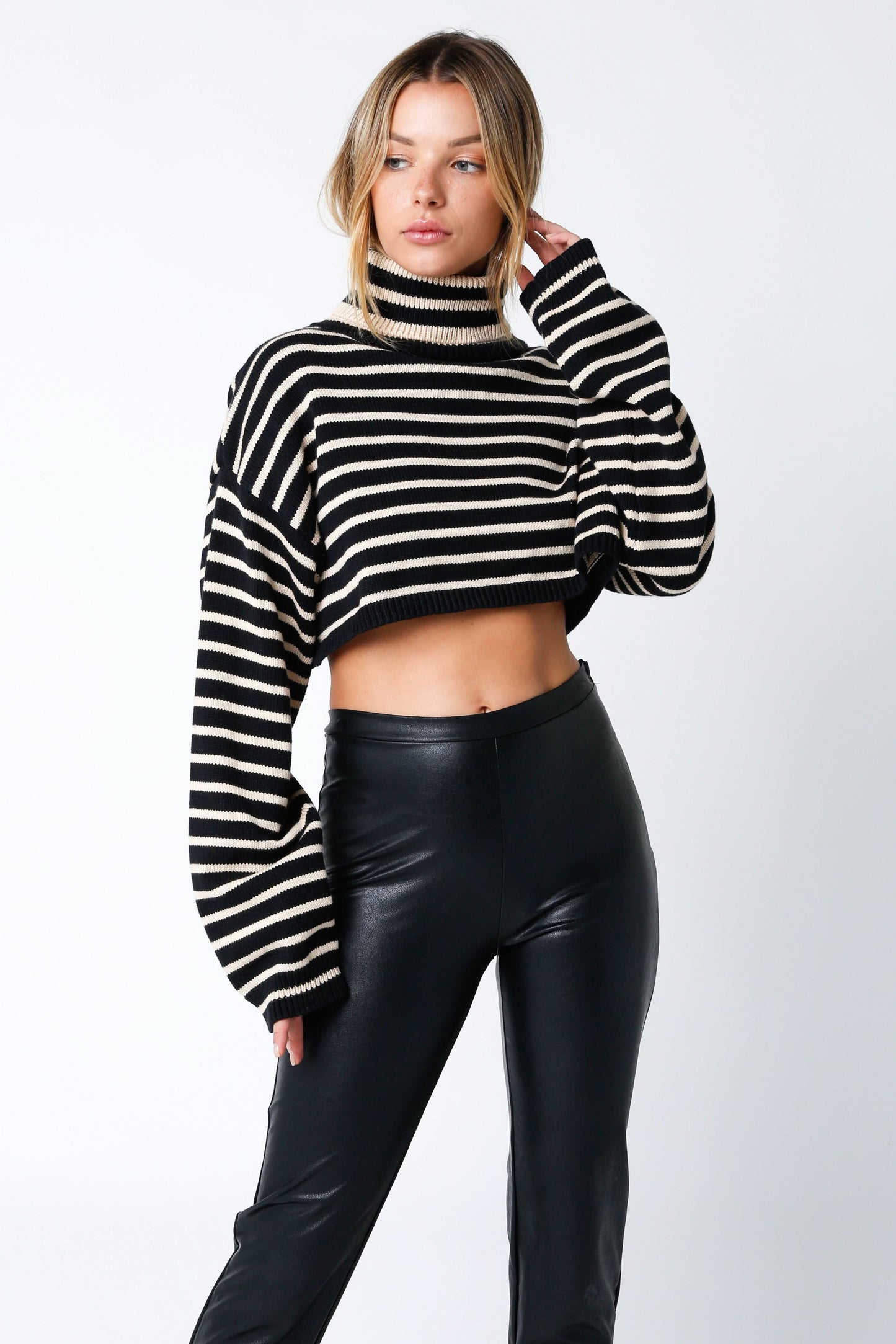 Marla Black & Natural Striped Cropped Turtleneck Sweater