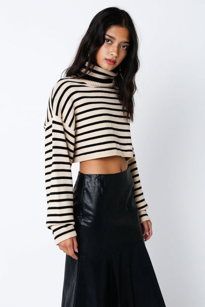 Marla Natural & Black Striped Cropped Turtleneck Sweater