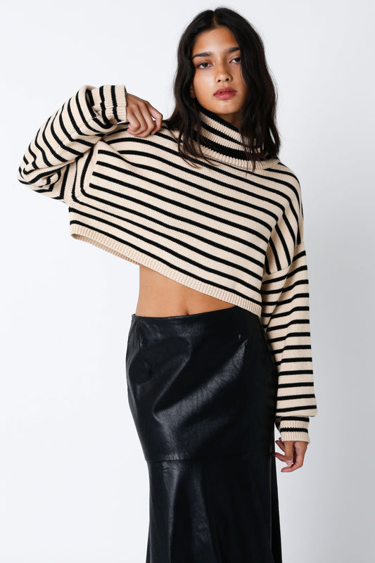 Marla Natural & Black Striped Cropped Turtleneck Sweater