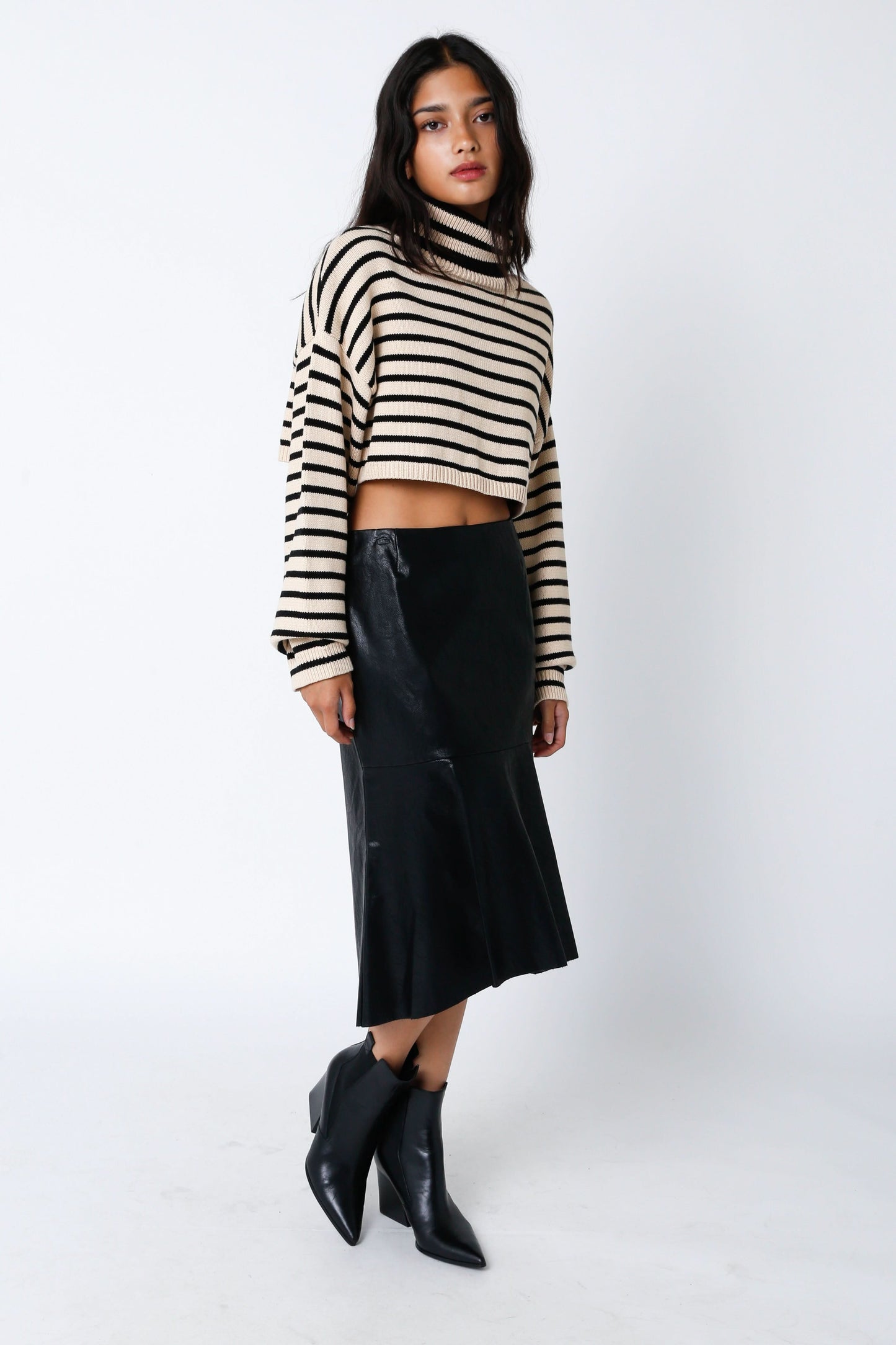 Marla Natural & Black Striped Cropped Turtleneck Sweater