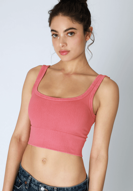 NIKIBIKI Vintage Flamingo Cropped Chevron Tank