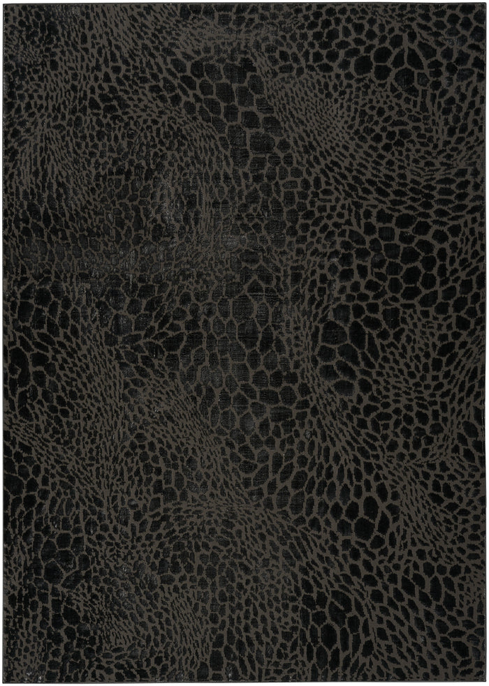 5'3" x 7'3"