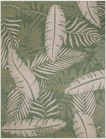 8' x 10'