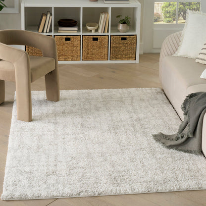 The Rug Corner Nourison Home Modern Shag MMD06 IVGRY Area Rugs