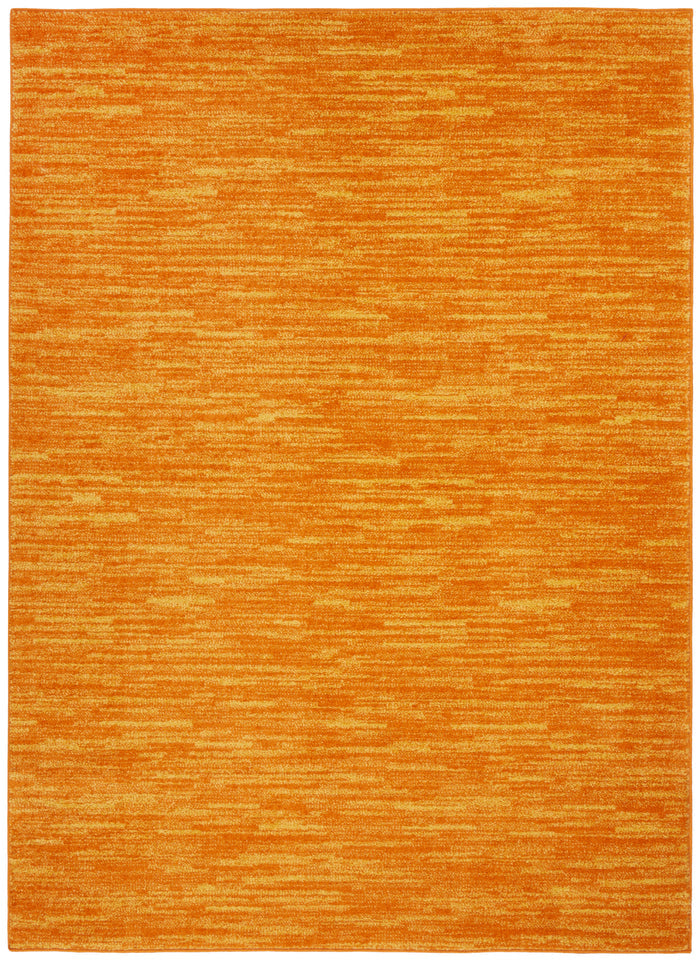 4' x 6'