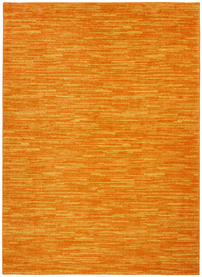 4' x 6'