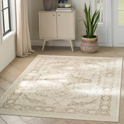 The Rug Corner Nourison Home Pardis PRD05 IVBGE Area Rugs