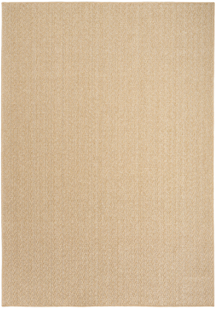 4' x 6'