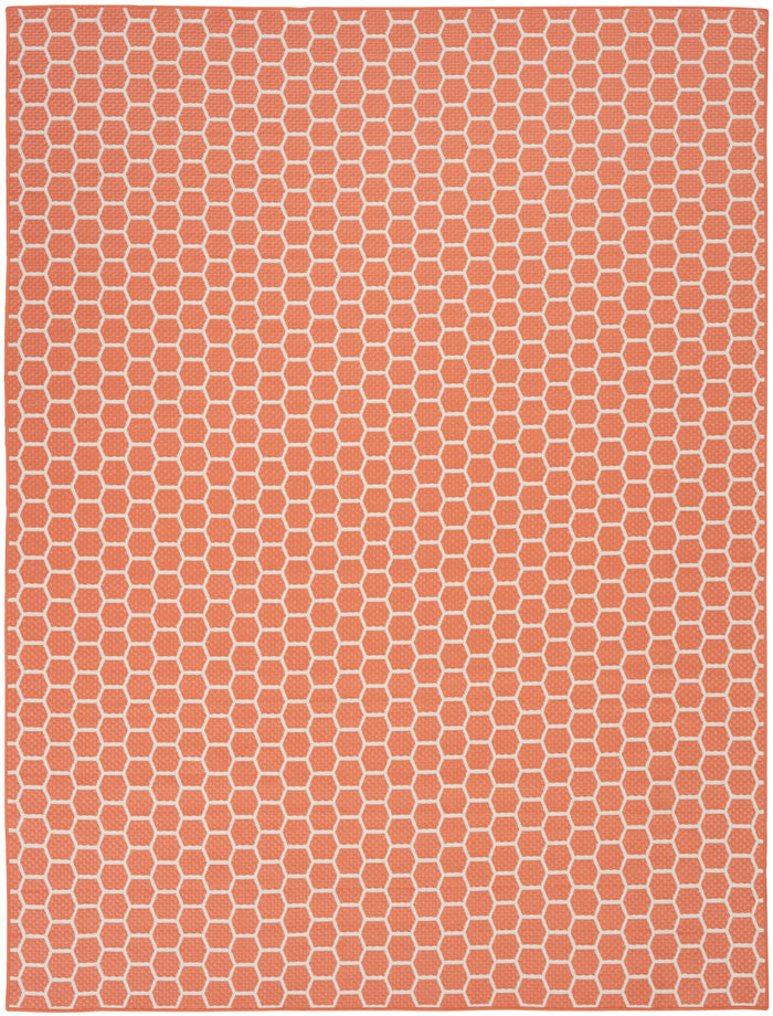 8' x 10'