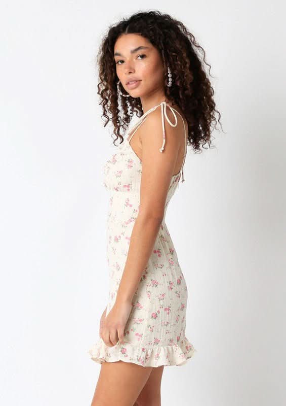 Lucia Cream and Pink Floral Mini Dress